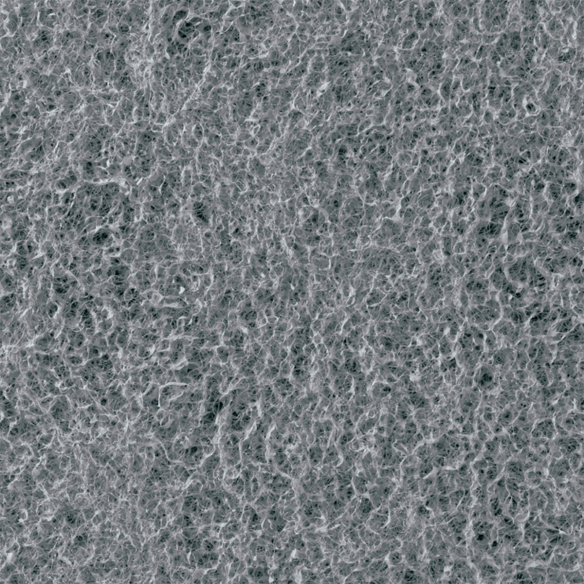 Removedor de Nitrito fluval Fx Removedor de Nitrito fluval Fx